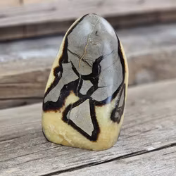 Septarian (Draksten), polerad kristall stående friform #6