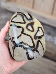 Septarian (Draksten), polerad kristall stående friform #7