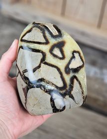 Septarian (Draksten), polerad kristall stående friform #7