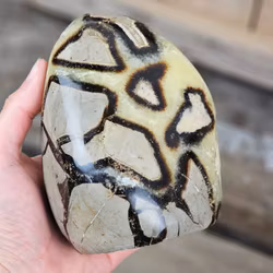 Septarian (Draksten), polerad kristall stående friform #7