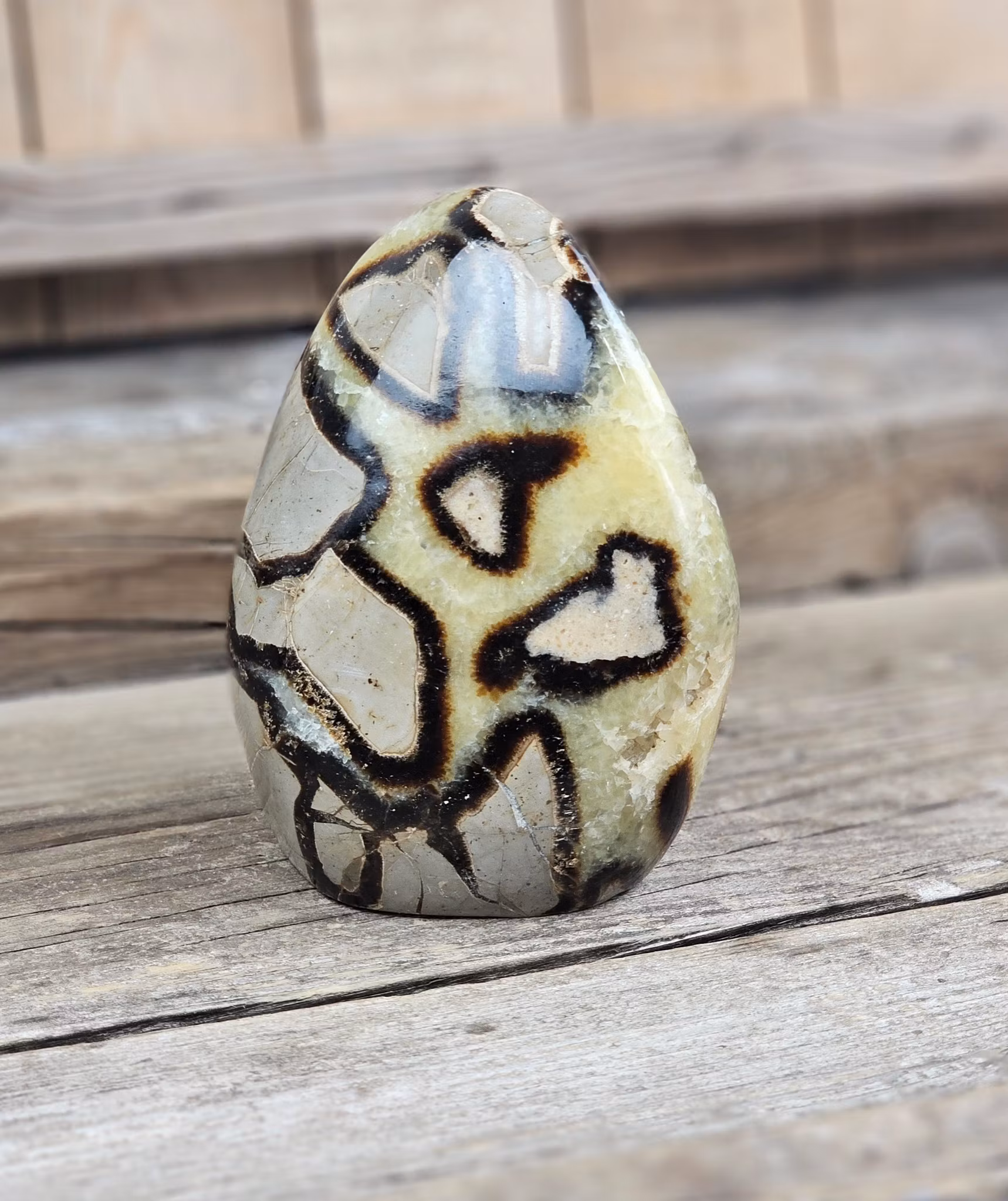 Septarian (Draksten), polerad kristall stående friform