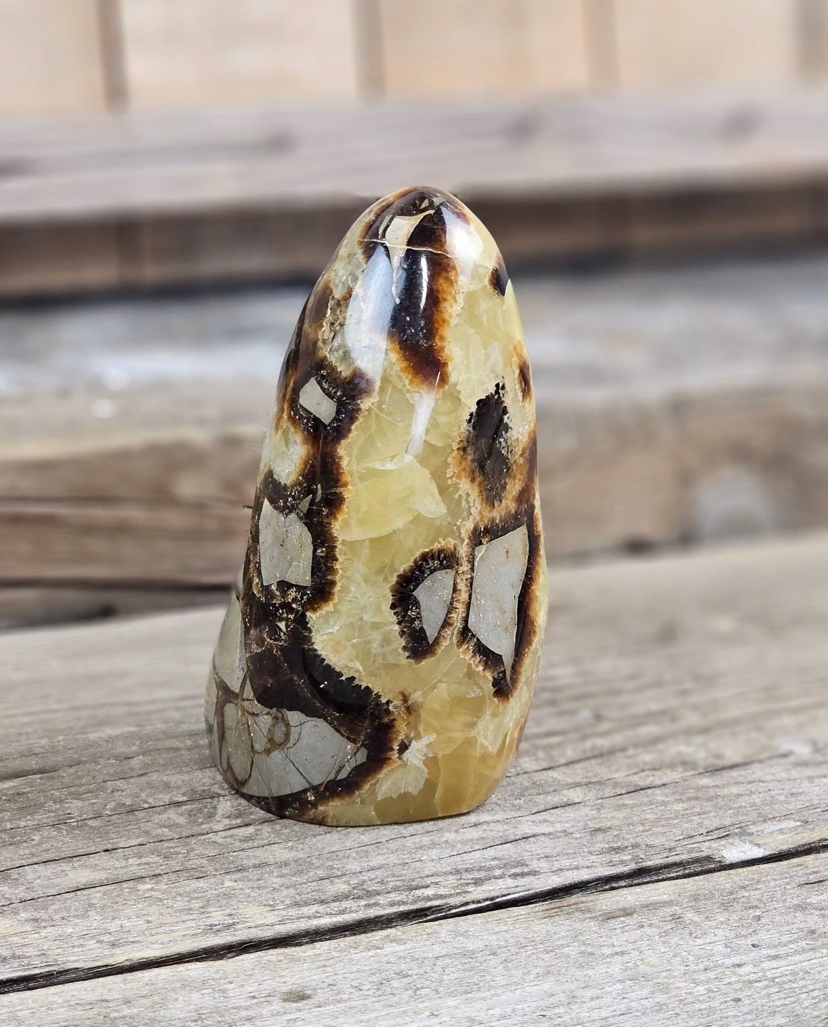 Septarian (Draksten), polerad kristall stående friform