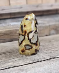 Septarian (Draksten), polerad kristall stående friform #8