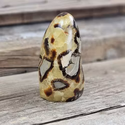 Septarian (Draksten), polerad kristall stående friform #8