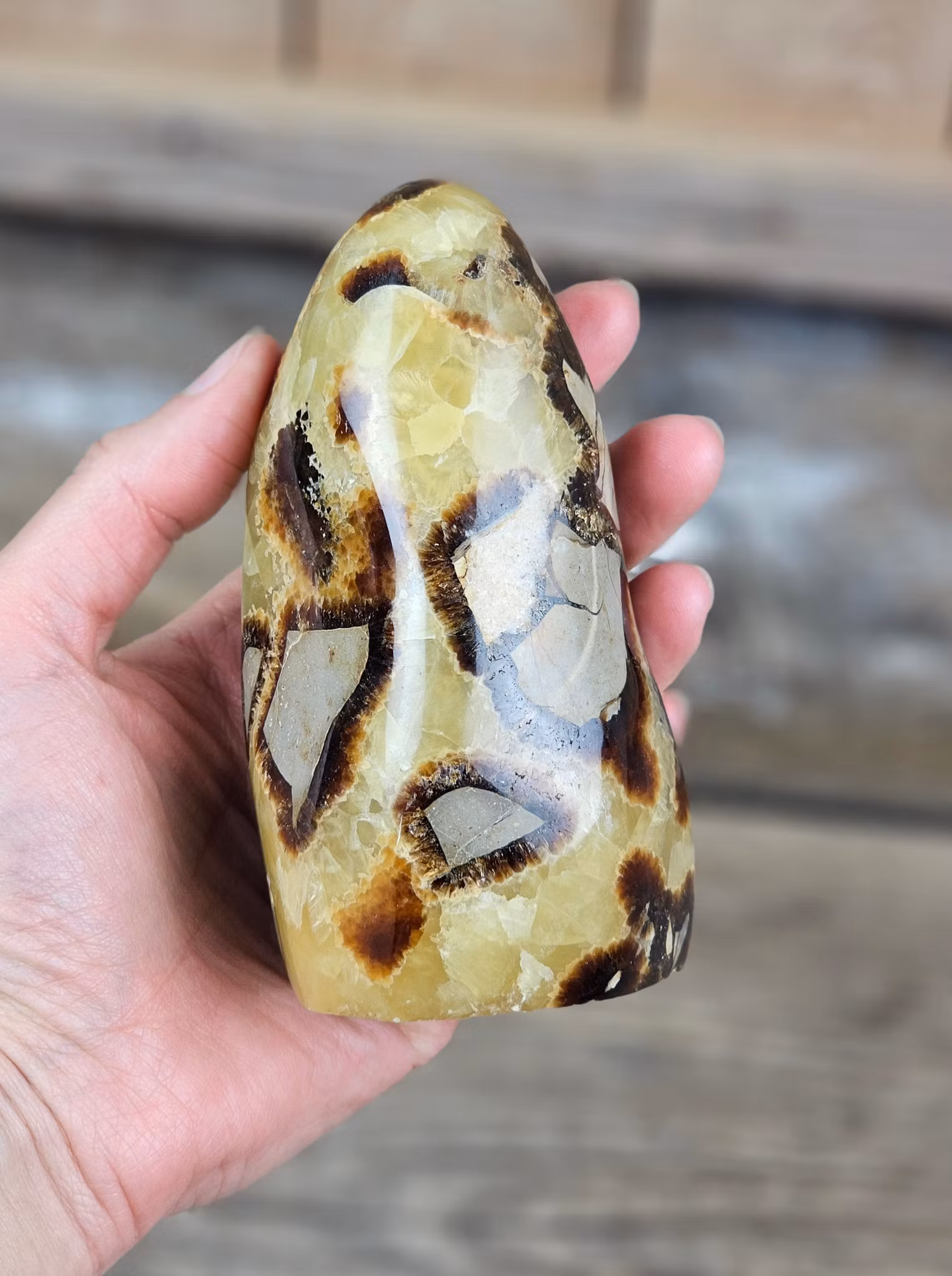 Septarian (Draksten), polerad kristall stående friform
