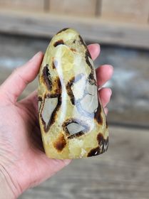 Septarian (Draksten), polerad kristall stående friform #8