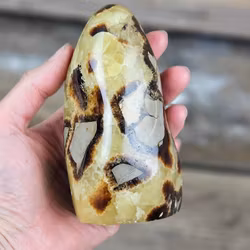 Septarian (Draksten), polerad kristall stående friform #8