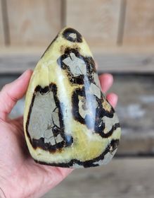 Septarian (Draksten), polerad kristall stående friform #9