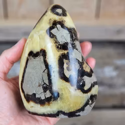 Septarian (Draksten), polerad kristall stående friform #9