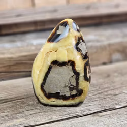 Septarian (Draksten), polerad kristall stående friform #9