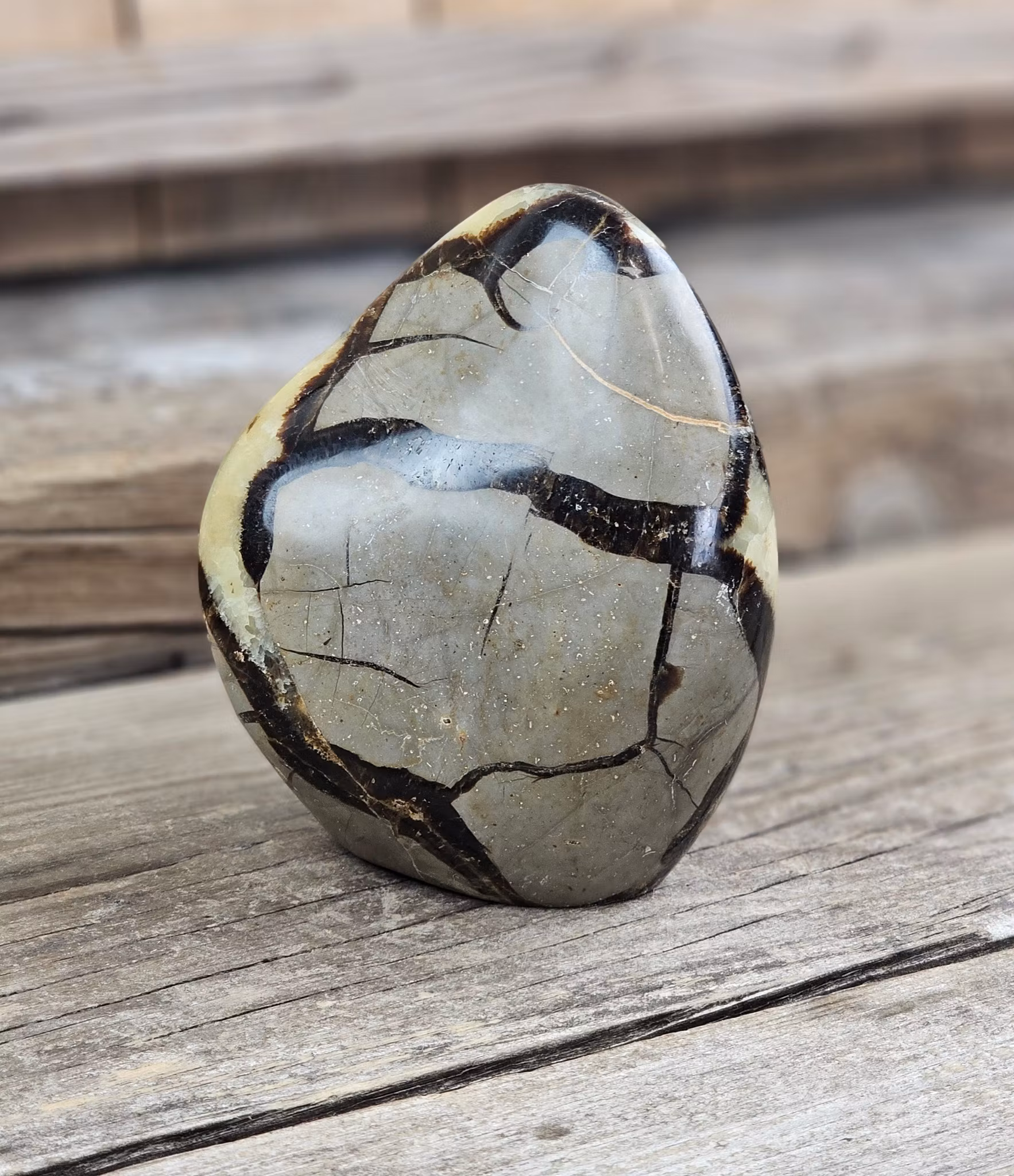 Septarian (Draksten), polerad kristall stående friform