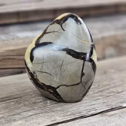 Septarian (Draksten), polerad kristall stående friform #10