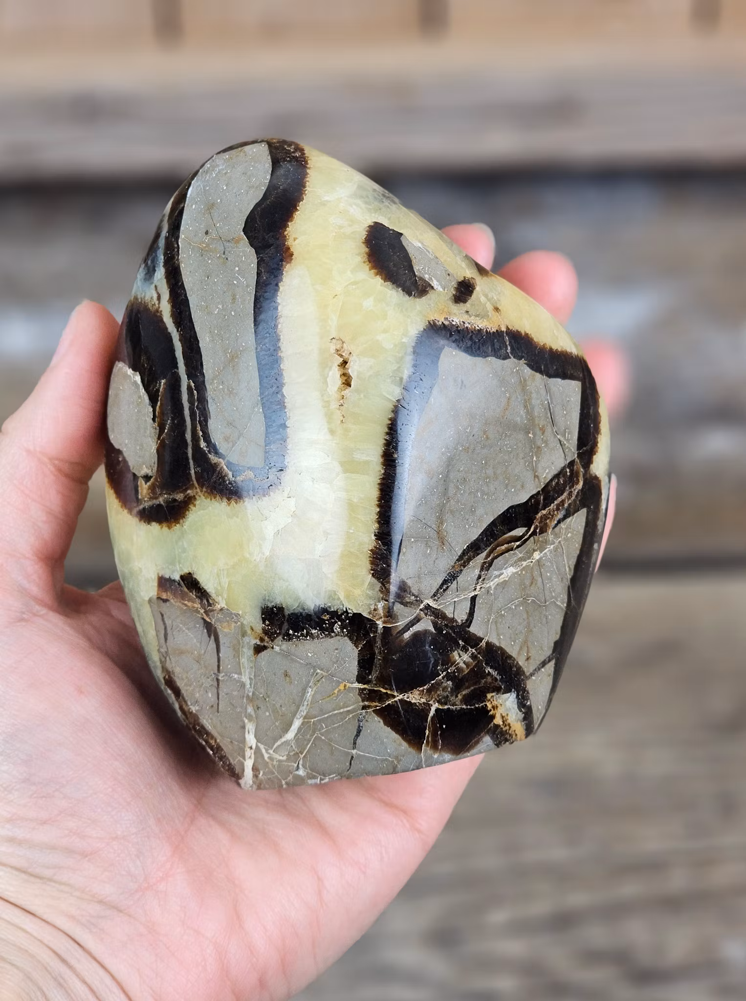 Septarian (Draksten), polerad kristall stående friform