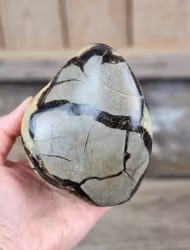 Septarian (Draksten), polerad kristall stående friform #10