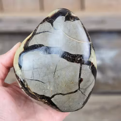 Septarian (Draksten), polerad kristall stående friform #10