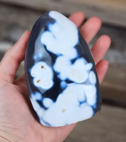 Orca Agat, polerad kristall stående friform #4