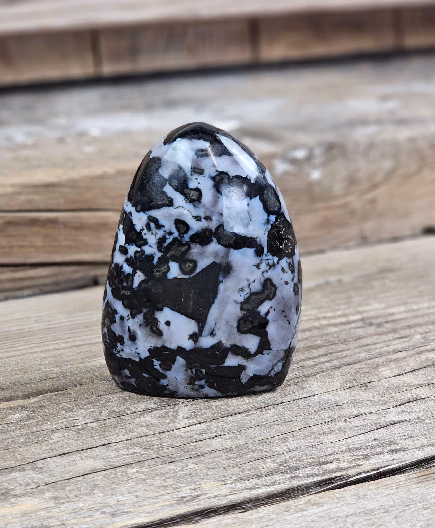 Indigo Gabbro, polerad kristall stående friform