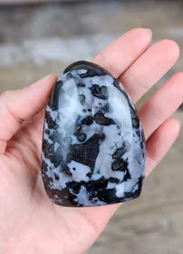 Indigo Gabbro, polerad kristall stående friform #2