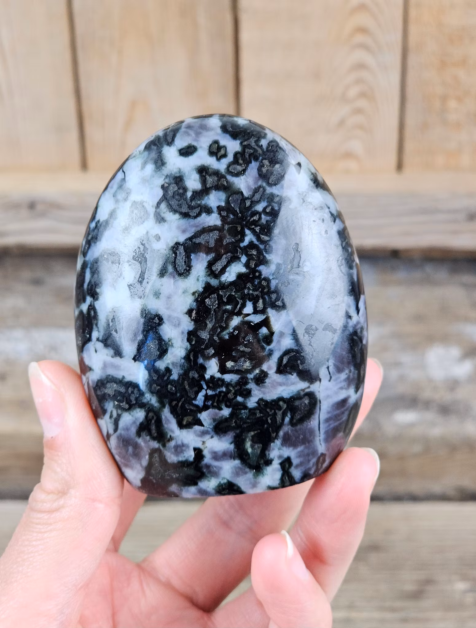 Indigo Gabbro, polerad kristall stående friform