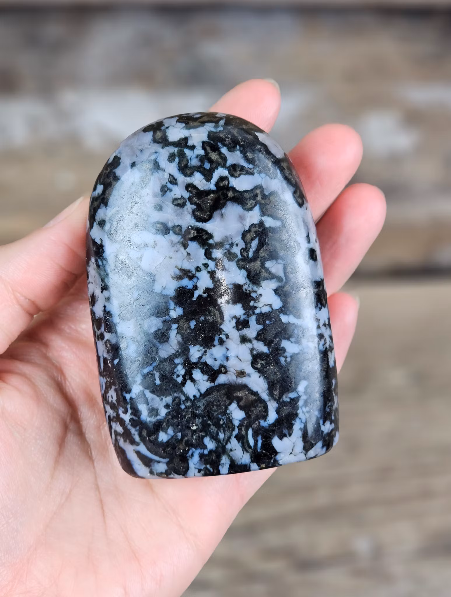 Indigo Gabbro, polerad kristall stående friform
