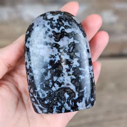 Indigo Gabbro, polerad kristall stående friform #8