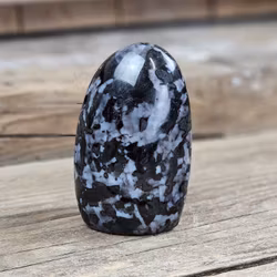 Indigo Gabbro, polerad kristall stående friform #9