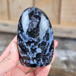 Indigo Gabbro, polerad kristall stående friform #9