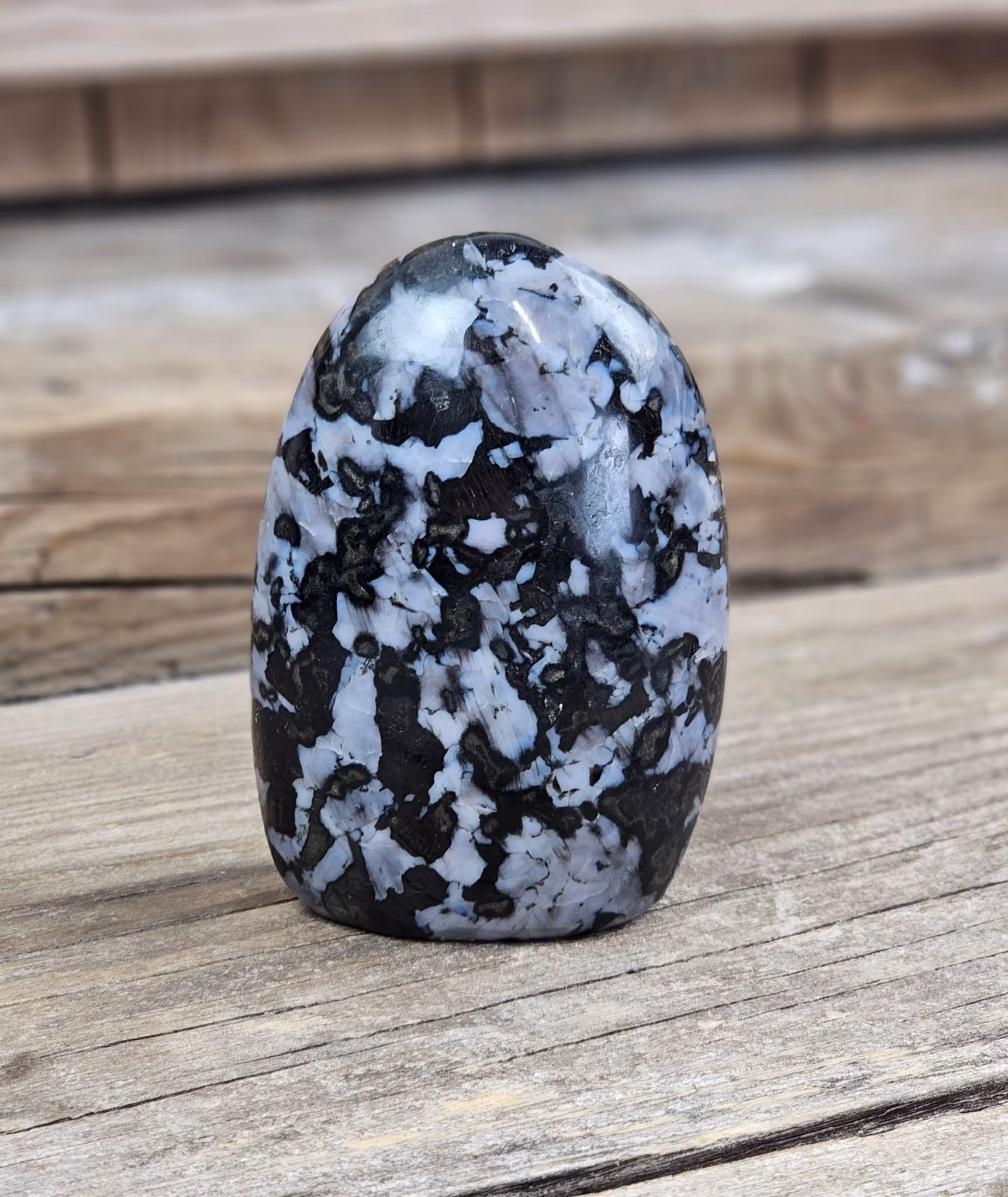 Indigo Gabbro, polerad kristall stående friform