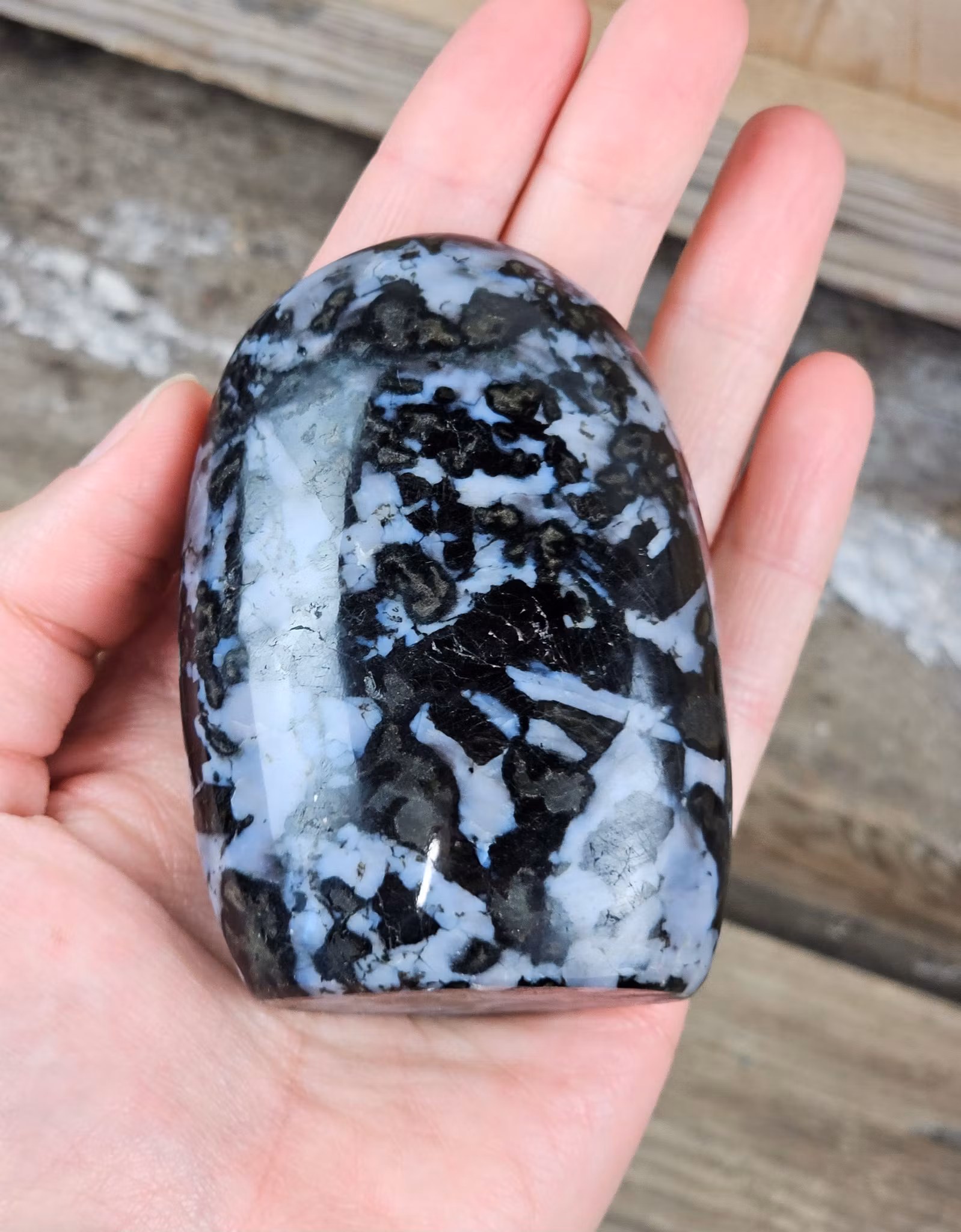 Indigo Gabbro, polerad kristall stående friform