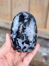 Indigo Gabbro, polerad kristall stående friform #11