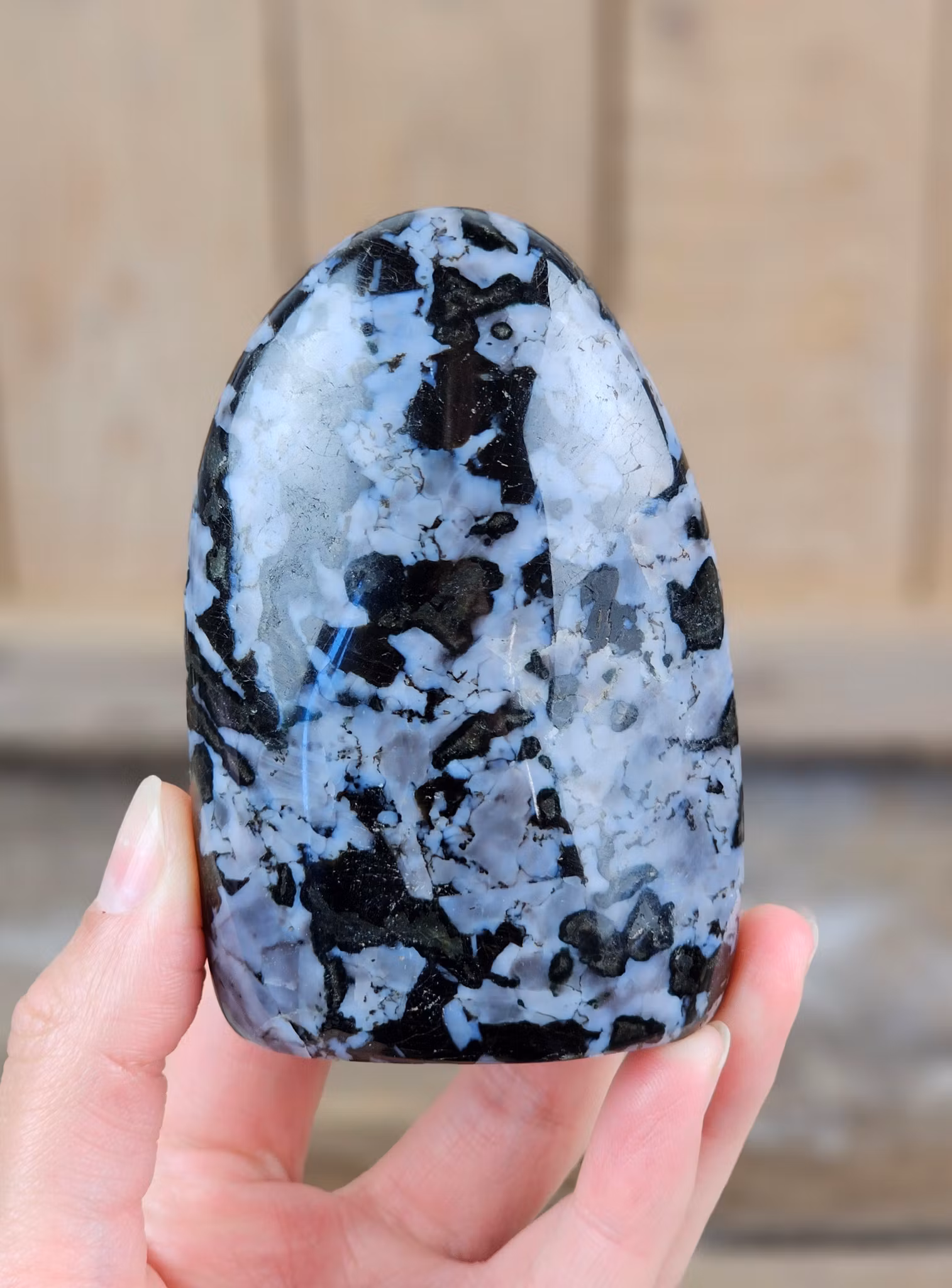 Indigo Gabbro, polerad kristall stående friform