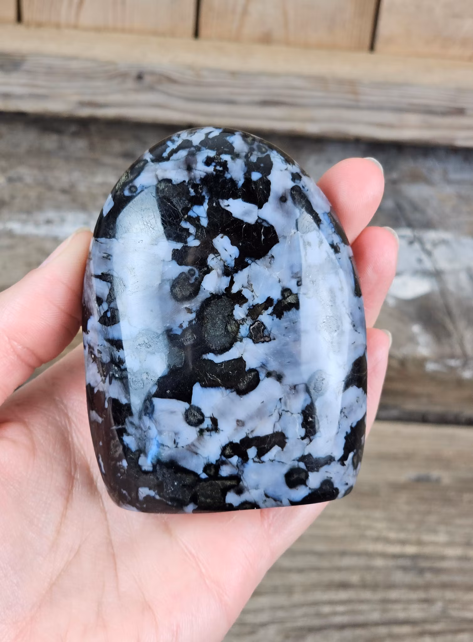 Indigo Gabbro, polerad kristall stående friform