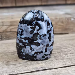 Indigo Gabbro, polerad kristall stående friform #14