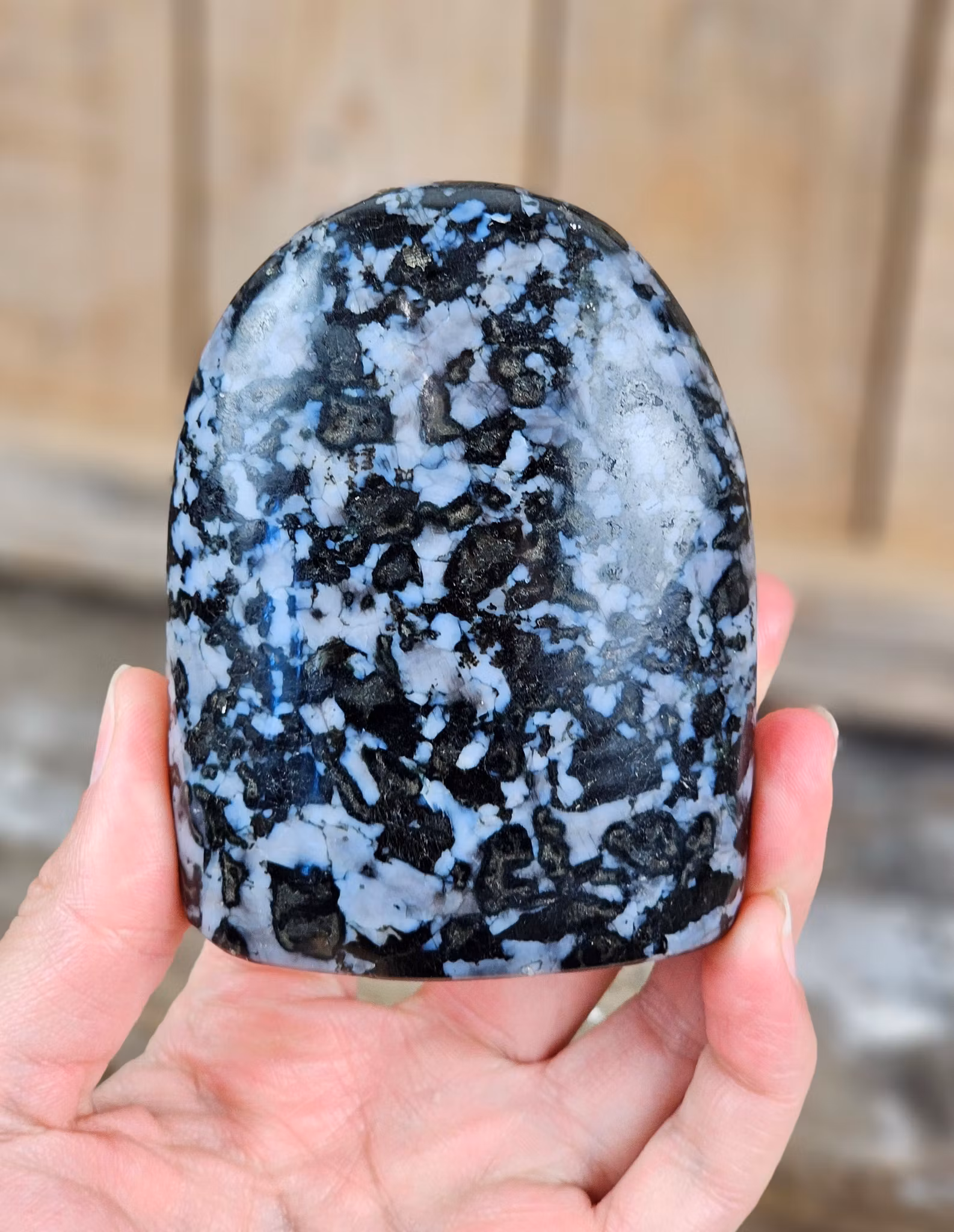 Indigo Gabbro, polerad kristall stående friform