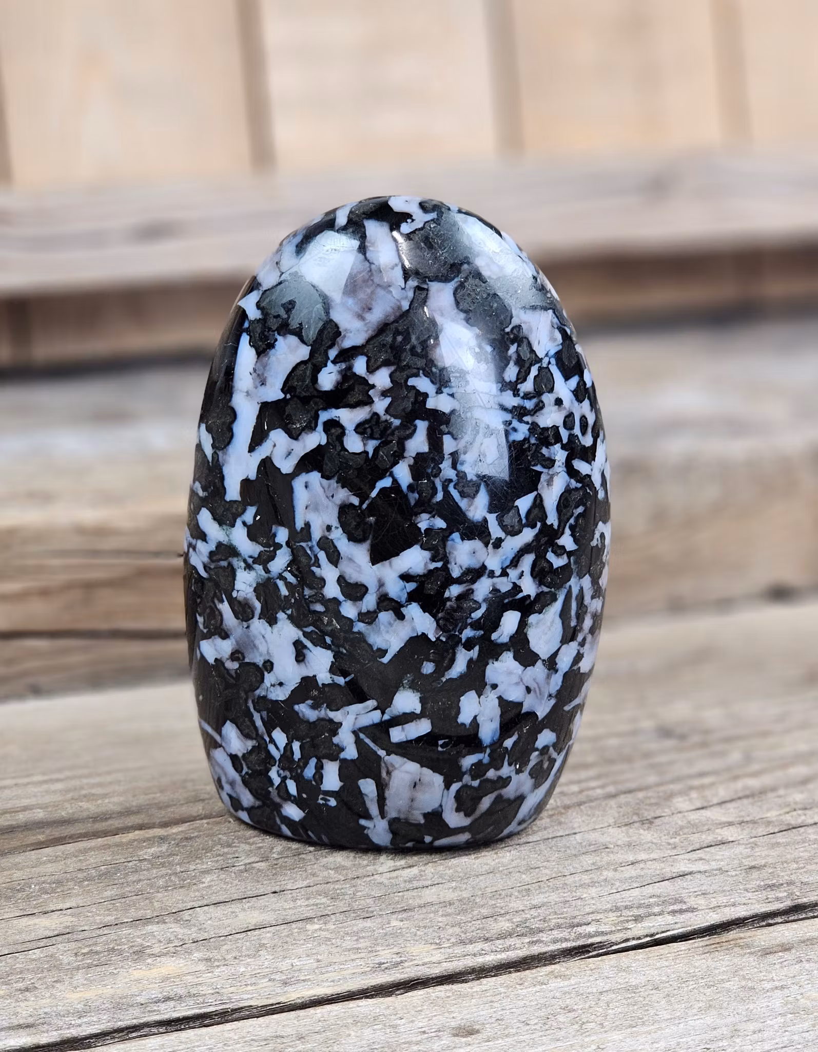 Indigo Gabbro, polerad kristall stående friform