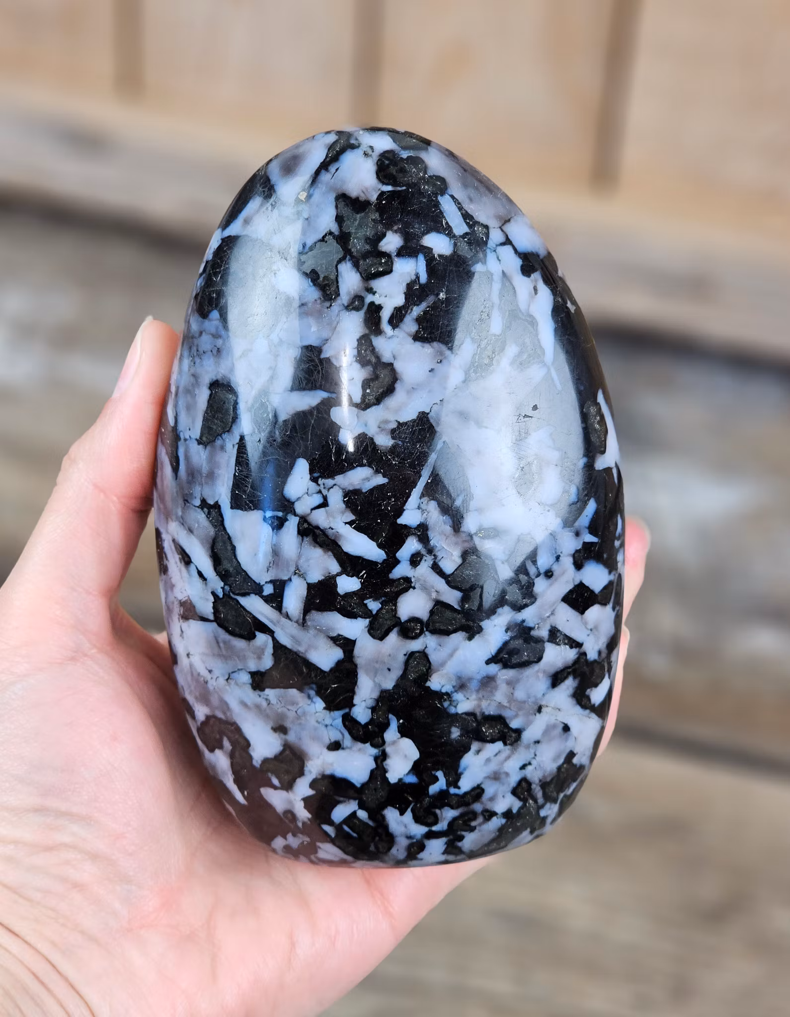 Indigo Gabbro, polerad kristall stående friform