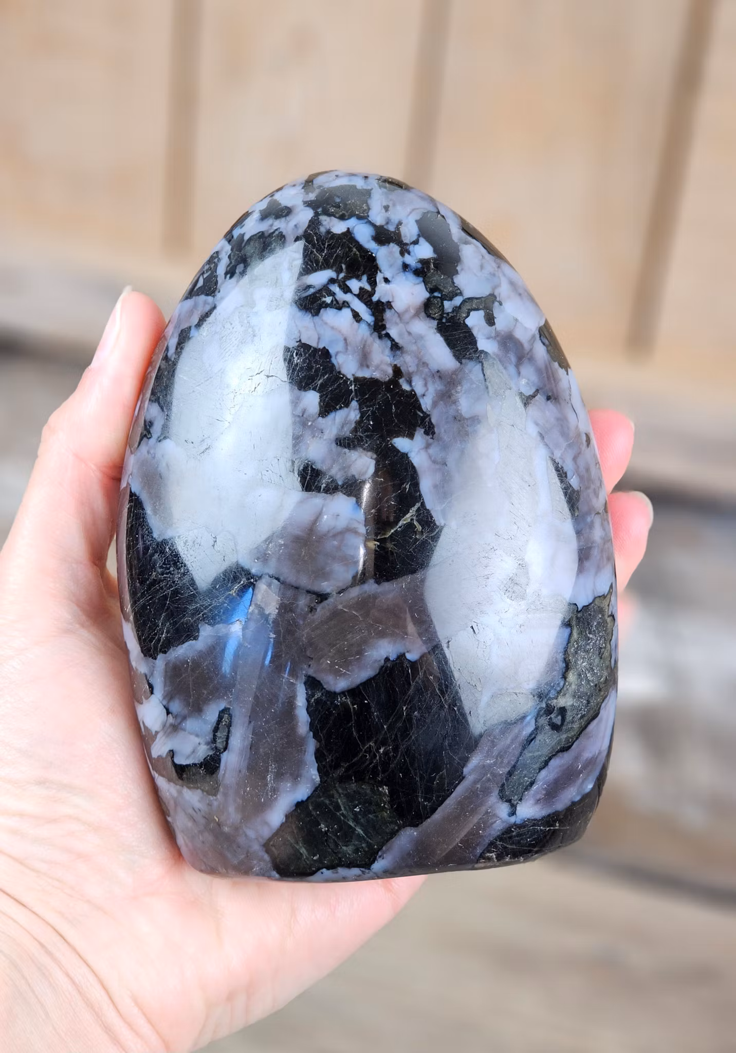 Indigo Gabbro, polerad kristall stående friform