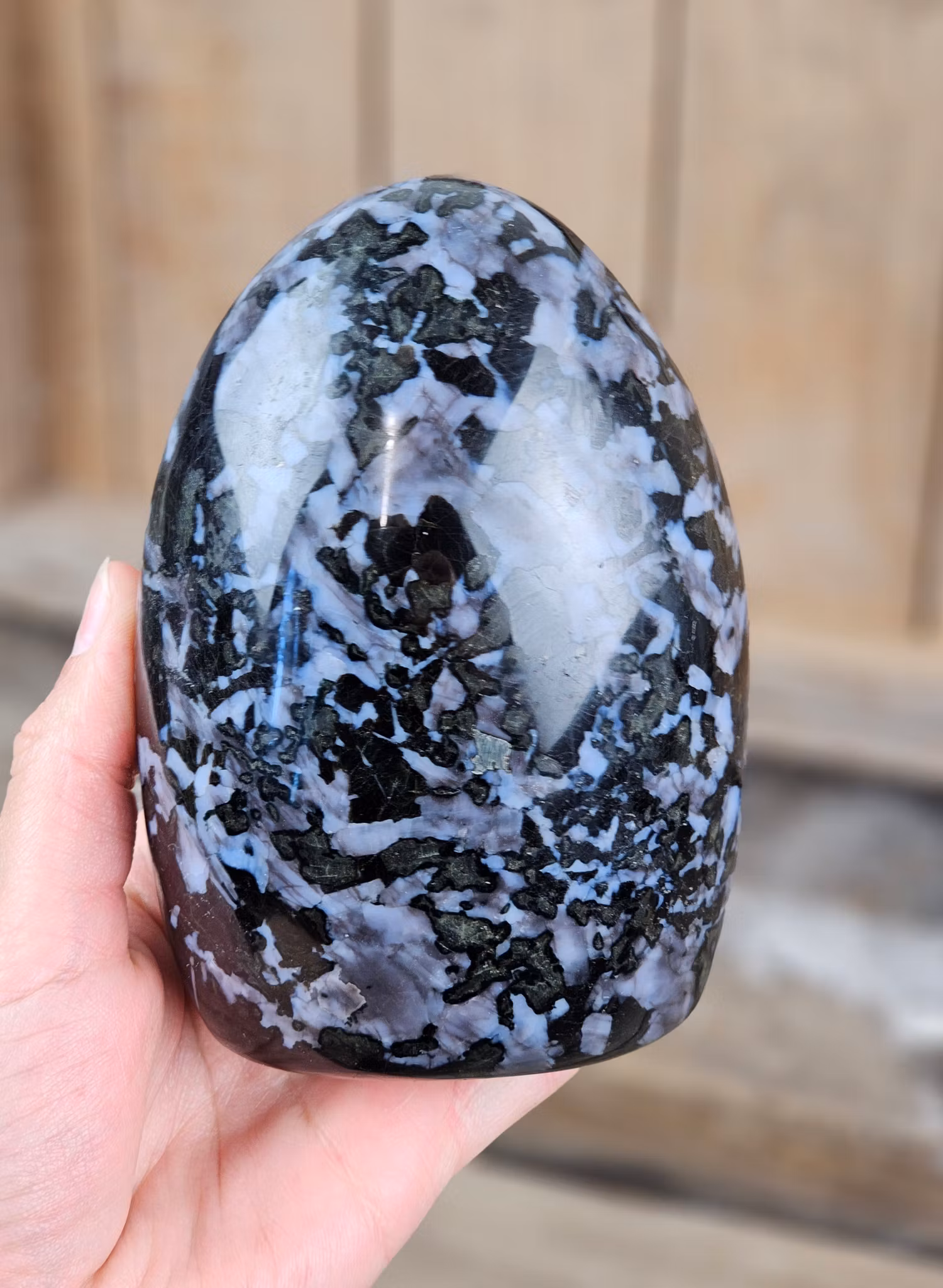 Indigo Gabbro, polerad kristall stående friform