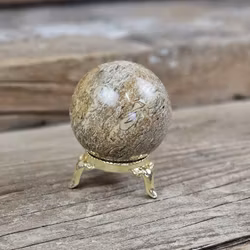 Fossiljaspis, klot #1