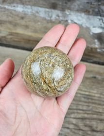 Fossiljaspis, klot #2