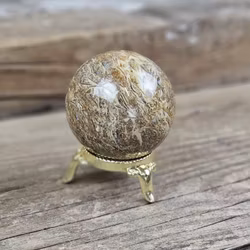 Fossiljaspis, klot #4