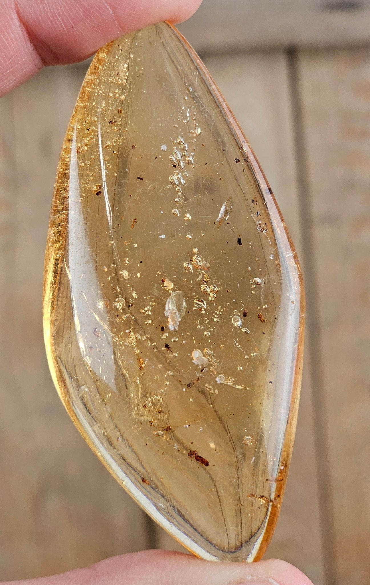 Copal med insekter