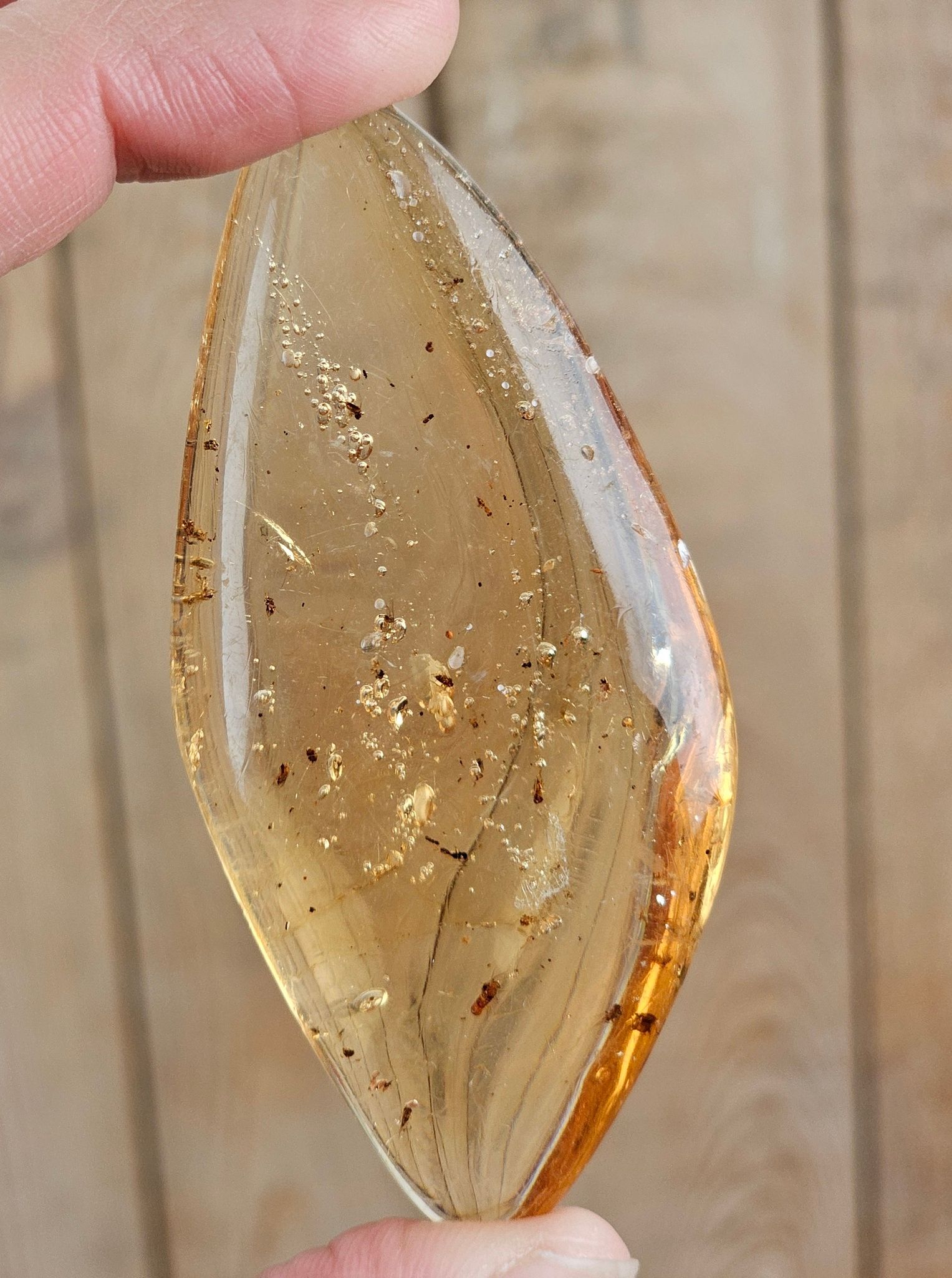 Copal med insekter