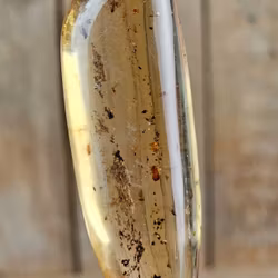 Copal med insekter #9