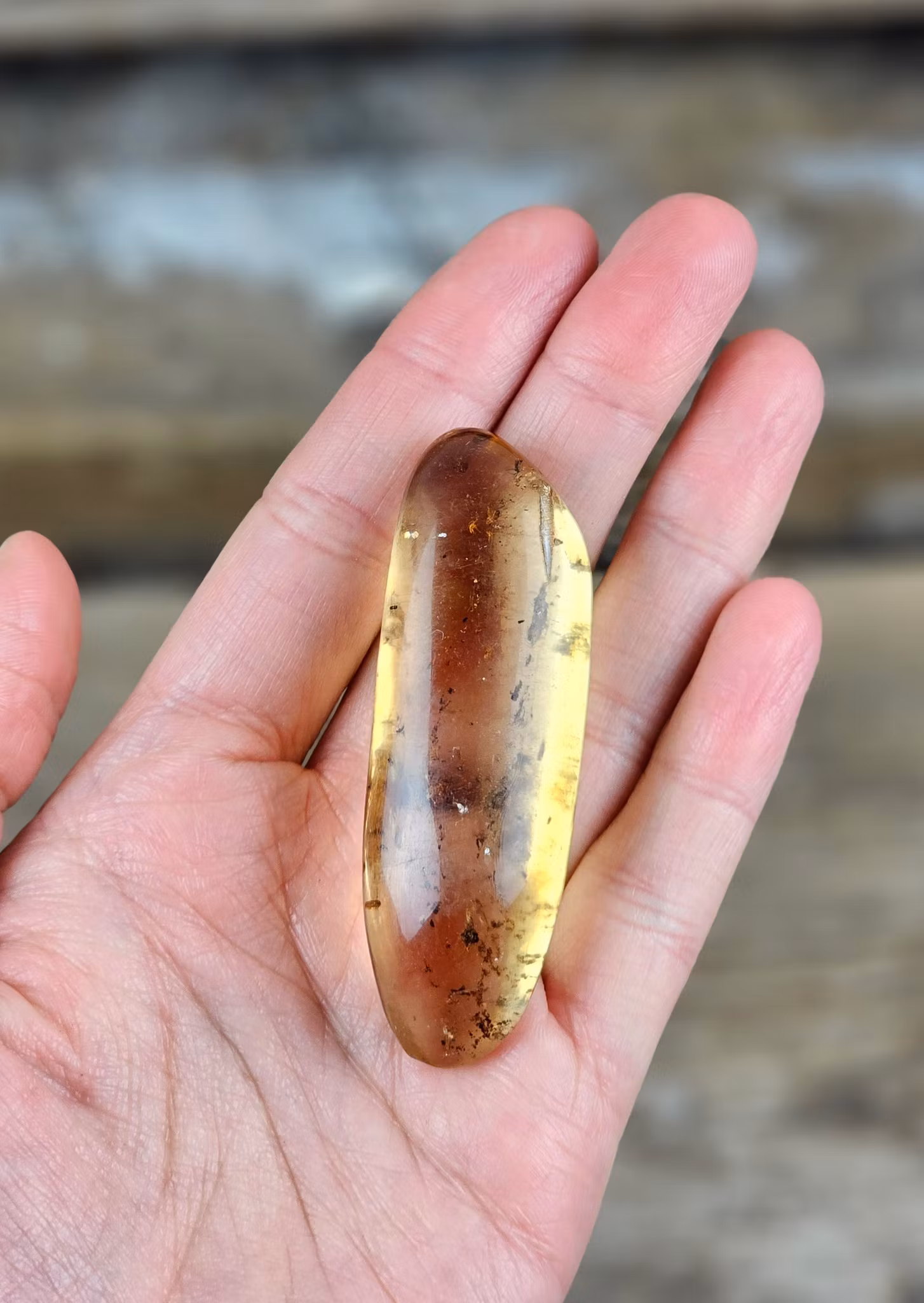 Copal med insekter