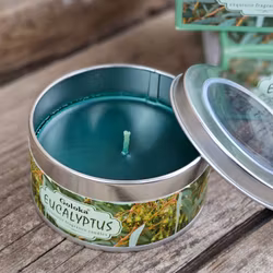 Goloka - Eucalyptus, doftljus 6h