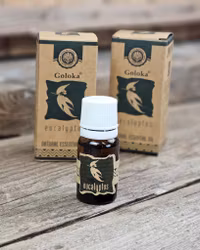 Goloka - Eucalyptus, Eterisk olja Aromaterapi