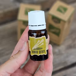 Goloka - Lemon grass, Eterisk olja Aromaterapi