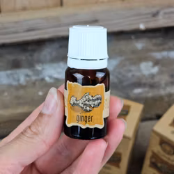Goloka - Ginger, Eterisk olja Aromaterapi