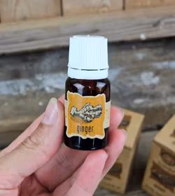 Goloka - Ginger, Eterisk olja Aromaterapi